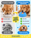 Comedor relajante para mascotas