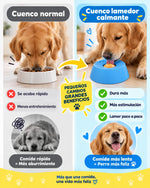 Comedor relajante para mascotas