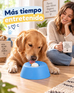 Comedor relajante para mascotas
