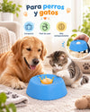 Comedor relajante para mascotas